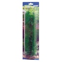 Vorschaubild HOBBY Plant Egeria 34 Centimeter Aquarieneinrichtung