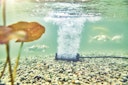 Vorschaubild Oase Belüfterszab S für AquaOxy