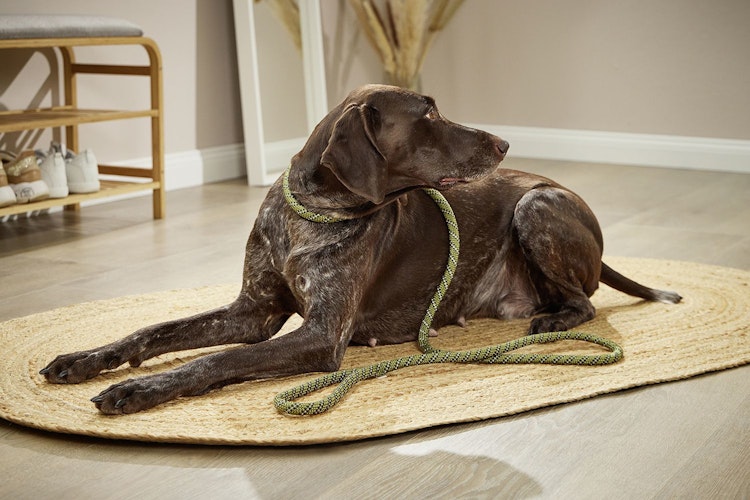 Wolters Cityleine Everest 100cmx13mm olive