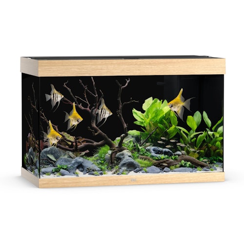 JUWEL Rio 290 LED helles Holz Aquarium