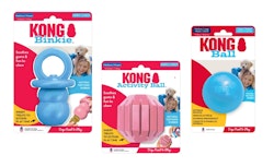 KONG Dog-Toy Mixpaket 21