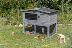 Kleintierstall mit Freilaufgehege, 124 × 102 × 78 cm, grau