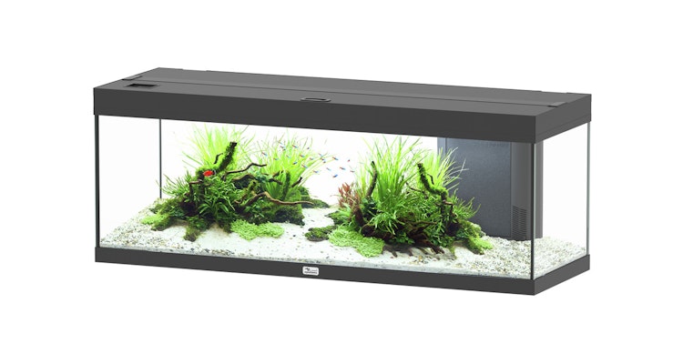 Aquatlantis Prestige 120 Aquarium-Set