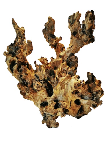 ORBIT Barico Wurzel Aquarieneinrichtung