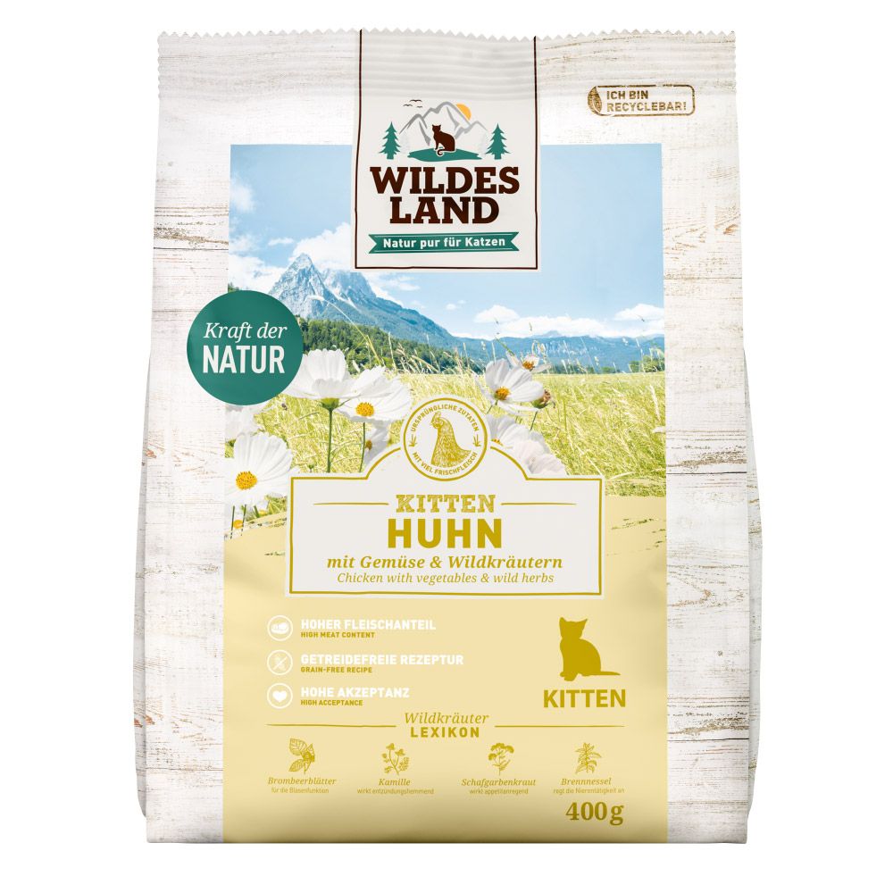 WILDES LAND Katze Huhn