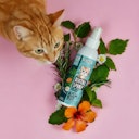 Vorschaubild Tierliebhaber Dentalspray für Katzen