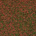 Vorschaubild Tropical Cichlid Gran Fischfutter