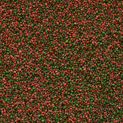 Tropical Cichlid Gran Fischfutter