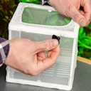 Vorschaubild HOBBY Nido 3.1 16 x 16 x 14 Centimeter Netz-Ablaichbehälter Tierpflege