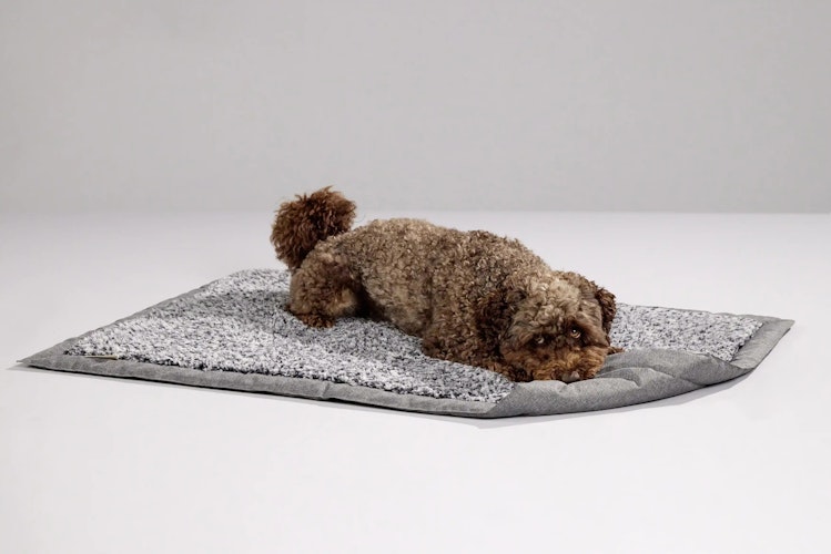 WOLTERS Sweet Dreams Sofadecke salt/pepper