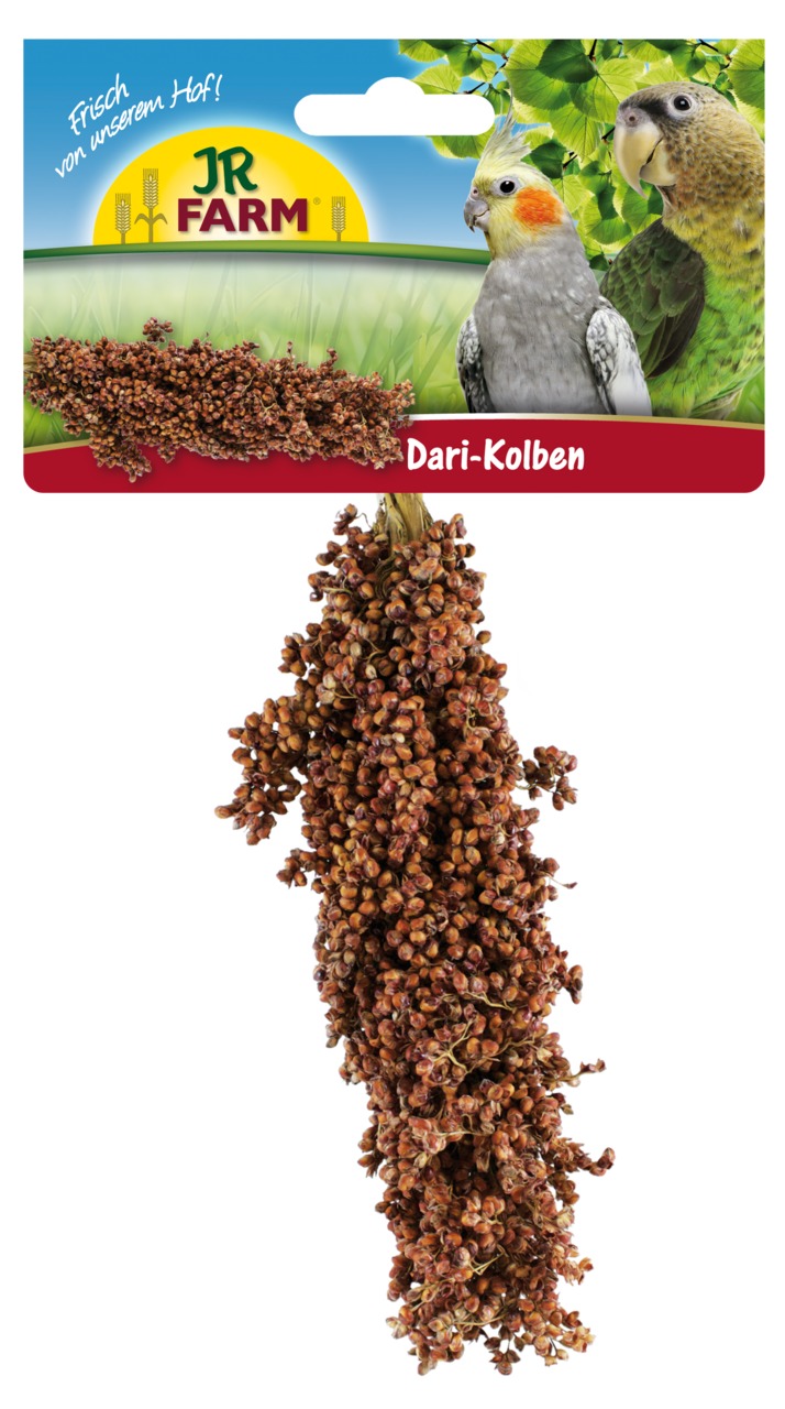 JR FARM Birds Dari-Kolben (1 Stück) Vogelsnack
