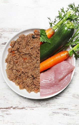 Dog's Love Senior 400g Dose Hundenassfutter