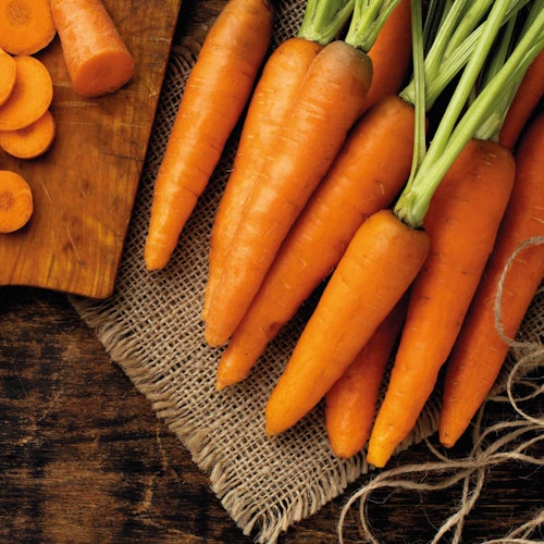 Paws&Patch MOROSCHE KAROTTENSUPPE 150g