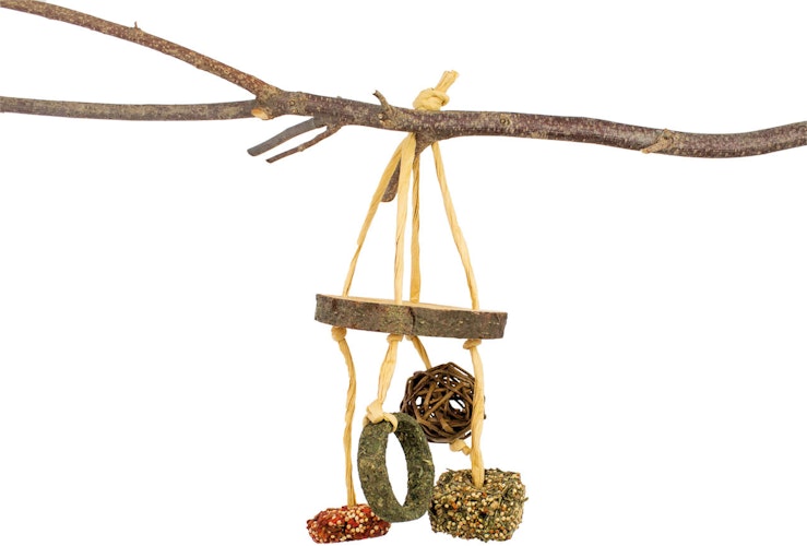 JR FARM Snack-Mobile 100g Kleintiersnack