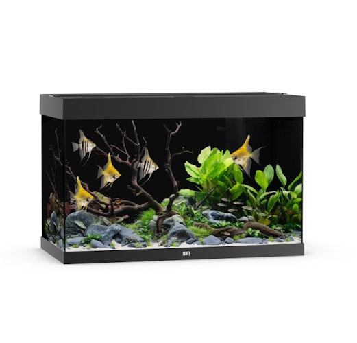 JUWEL Rio 290 LED schwarz Aquarium