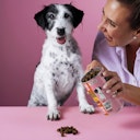 Vorschaubild Tierliebhaber Goodie Drops