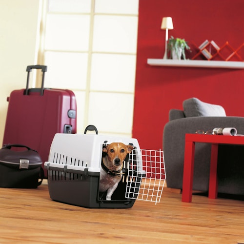 SAVIC Transportbox anthrazit/grau