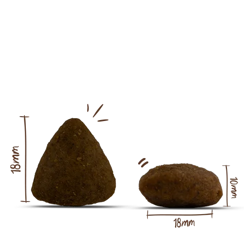 Bosch MENUE Adult Lachs und Forelle 1kg 