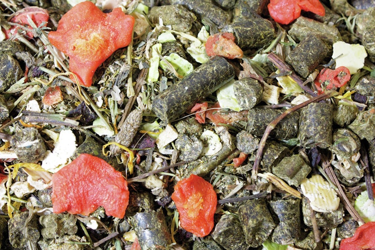 JR FARM Grainless Mix Meerschweinchen 650g Kleintierfutter