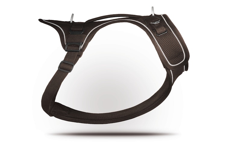 curli Belka Harness braun Hundegeschirr