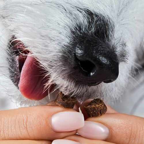 Tierliebhaber Snackie Drops