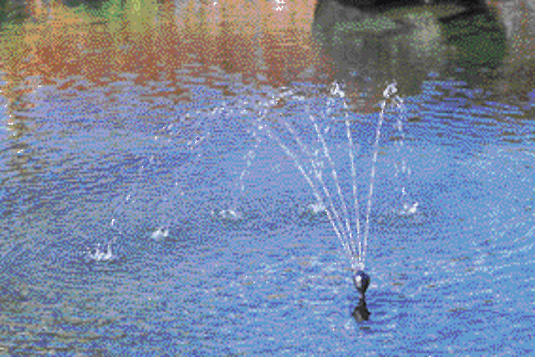 Oase Filtral UVC 5000