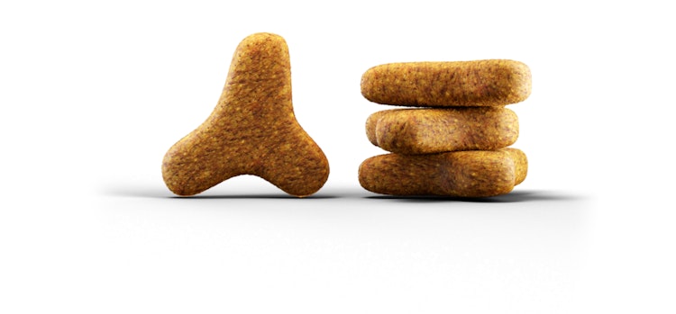 Josera Adult Léger Katzentrockenfutter