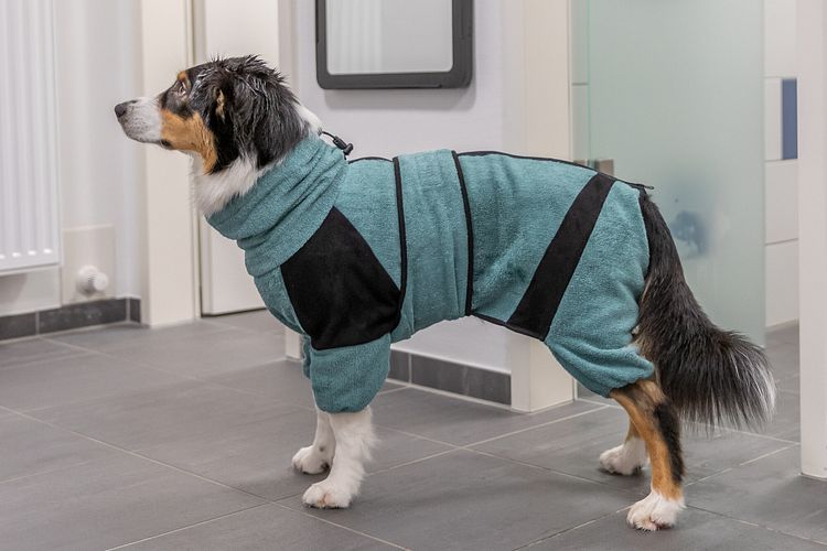 TRIXIE Bade- und Hausoverall für Hunde, Frottee, petrol