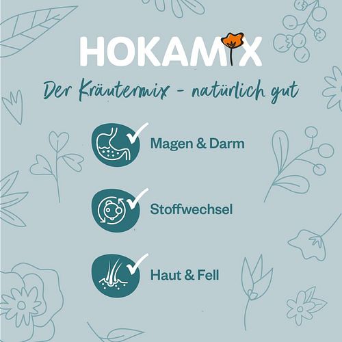 Hokamix 30 Snack Petit 400g Nahrungsergänzung