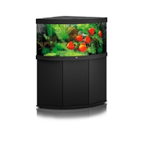 JUWEL Trigon 350 LED Aquarium mit Unterschrank