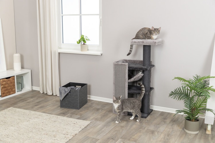 TRIXIE Kratzbaum Arianna