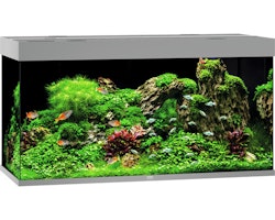 JUWEL Rio 350 LED grau Aquarium