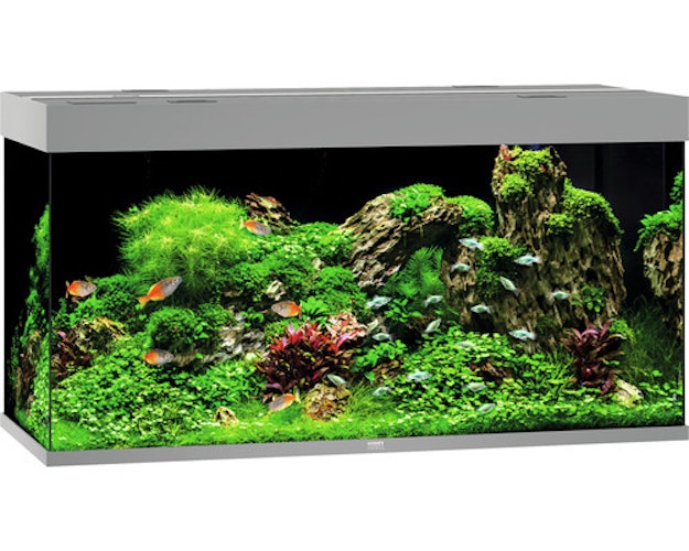 JUWEL Rio 350 LED grau Aquarium