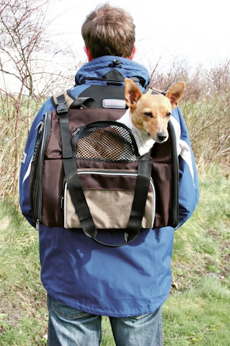 TRIXIE Rucksack Shiva 41x30x21cm