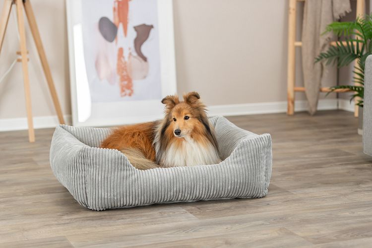 TRIXIE Vital Bett Jonna eckig mit Cordplüsch und Memory-Foam, hellgrau