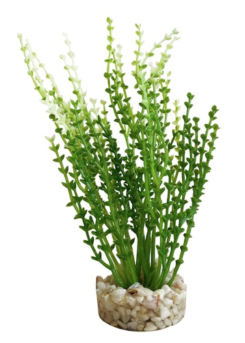 Sydeco Aqua Nano Moss 8 Zentimeter Aquariendekoration