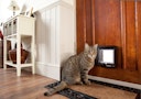 Vorschaubild SureFlap Katzenklappe mikrochipgesteuert
