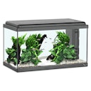 Vorschaubild aquatlantis Advance 60 LED Set Aquarium Set