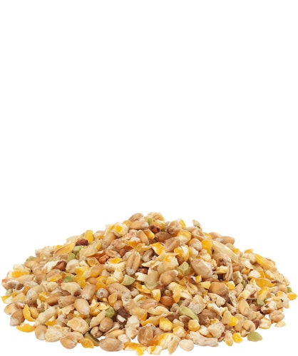 VERSELE-LAGA Gra-Mix Junghennen/Fasanen 20kg