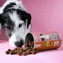 Vorschaubild Tierliebhaber Goodie Drops