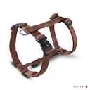 Vorschaubild Wolters Professional tabac Geschirr