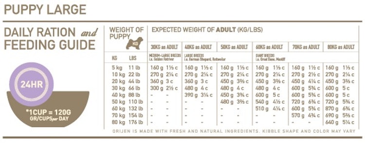 Orijen Puppy Large Hundetrockenfutter