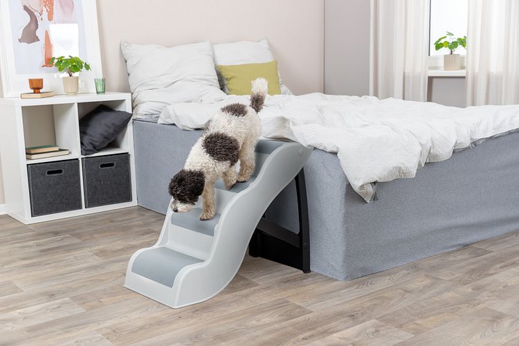 TRIXIE Treppe, Kunststoff, 38,5 × 60 × 79 cm, hellgrau
