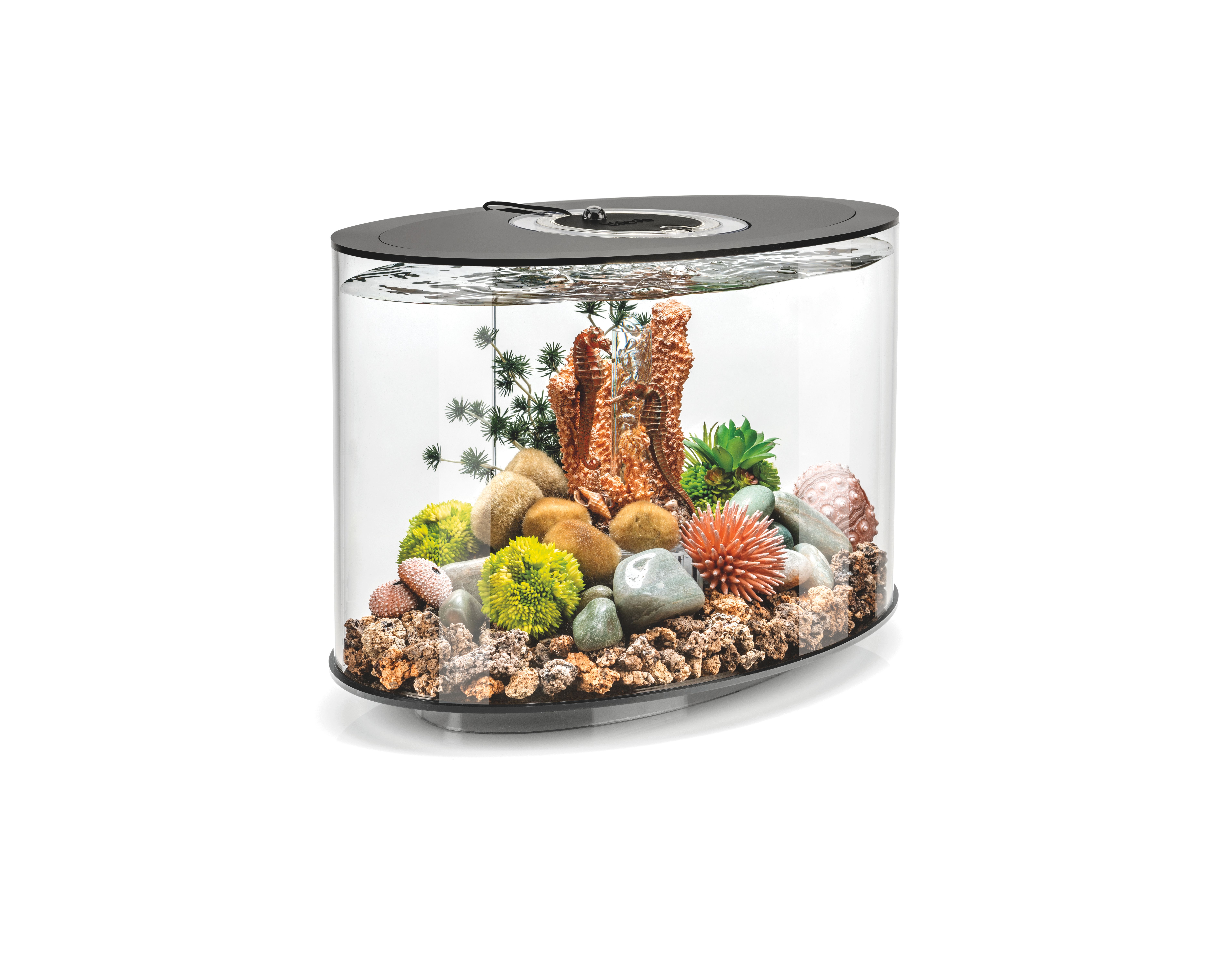 BiOrb Aquarium LOOP 15 LED