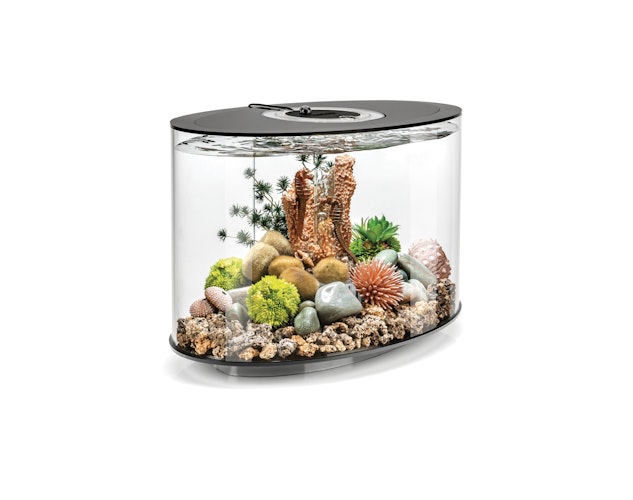 BiOrb Aquarium LOOP 15 LED