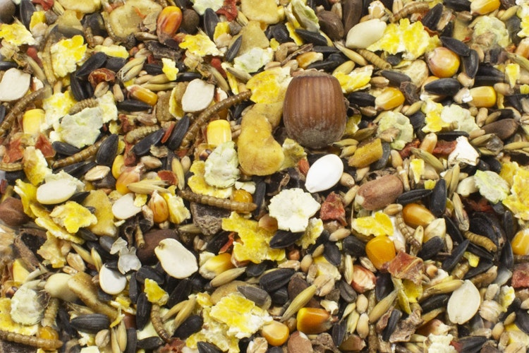 JR FARM Streifenhörnchen-Schmaus 600g Kleintierfutter