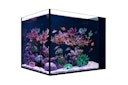 Vorschaubild Red Sea Desktop Aquarium Set