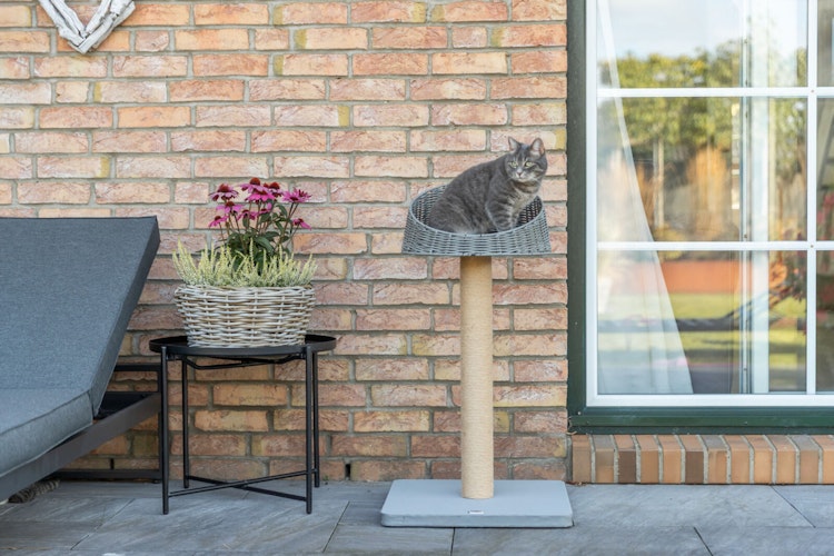 Outdoor Kratzbaum Amalia klein, 88 cm, grau