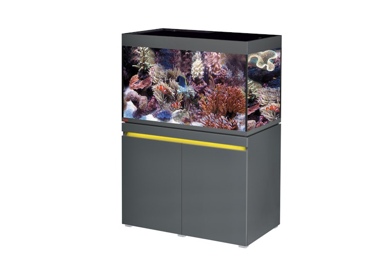 EHEIM incpiria marine 330 LED Meerwasser-Aquarium mit Unterschrank