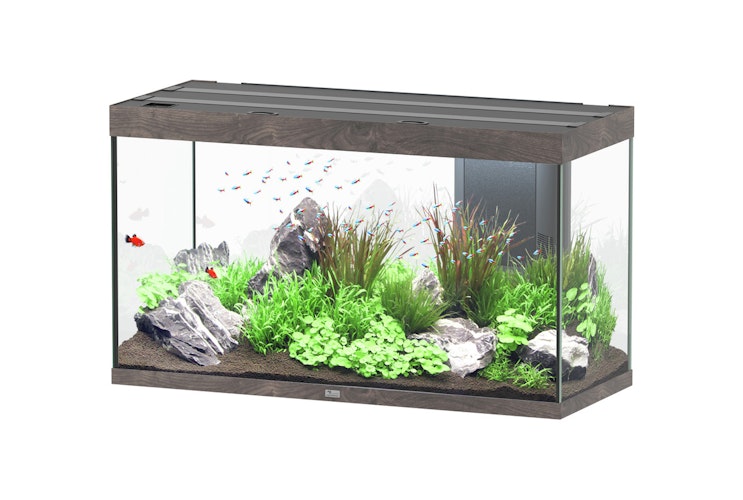 Aquatlantis Sublime 335 Wildeiche Dunkel Aquarium-Set